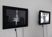 Earth Partitions 2014 © Melik Ohanian