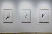 Post-Image 2014 © Melik Ohanian