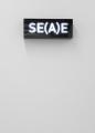 Word(s) — Serie II 2014 © Melik Ohanian