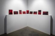Red Memory 2014 © Melik Ohanian